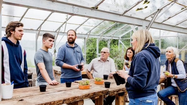 blossoms at larne lough horticultural students learn about growing from seed in the greenhouse